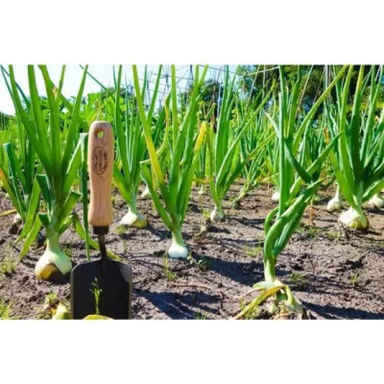 Tierra Garden Trowel image {6}