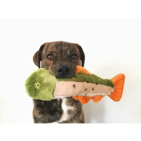 Fluff and Tuff Ruby the Rainbow Trout Dog Toy - 14" image {2}
