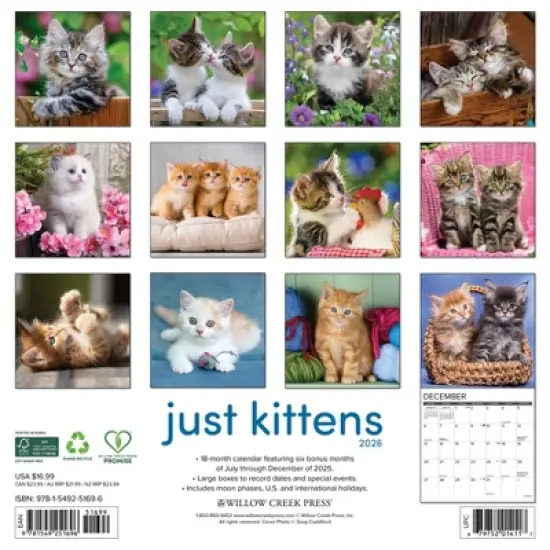 Willow Creek Press 2026 Kittens Wall Calendar image {1}