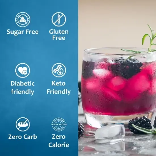 Syruvia Sugar Free Coffee Flavors Variety Pack: Blueberry & Blackberry 25.4 fl oz Syrup image {3}