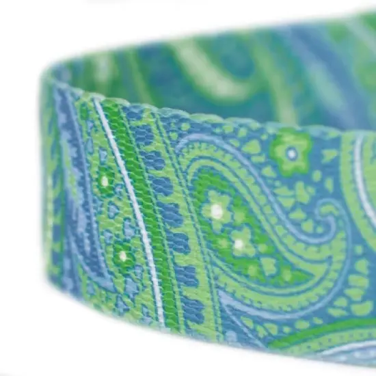 Country Brook Design&reg; 1 Inch Green Paisley Leash - 6 Feet image {4}