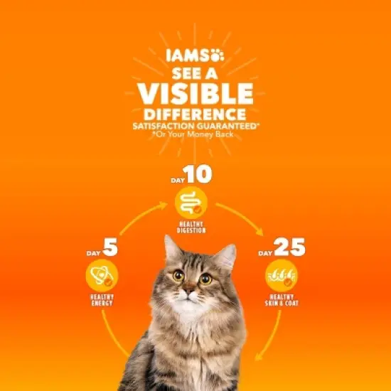 IAMS Proactive Health Weight Control and Hairball Care with Chicken and Turkey Flavor Indoor Dry Cat Food - 3.5lbs image {7}