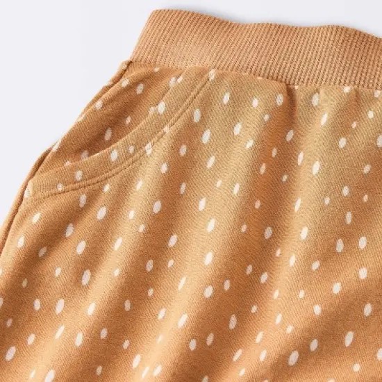 Baby Boys' 2pc Graphic Sweatshirt & Jogger Pants Set - Cloud Island&trade; Light Brown image {3}