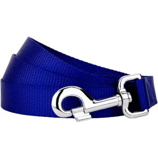 Country Brook Petz 3/4 Inch Nylon Dog Leash image {3}