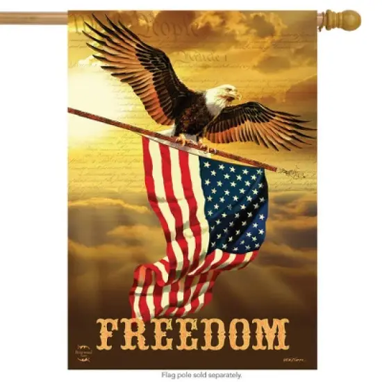 Freedom Patriotic House Flag Bald Eagle USA 28" x 40" Briarwood Lane image {1}