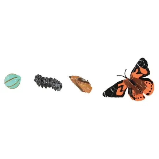 Insect Lore Products Life Cycle Figurines - 24 Pieces image {5}