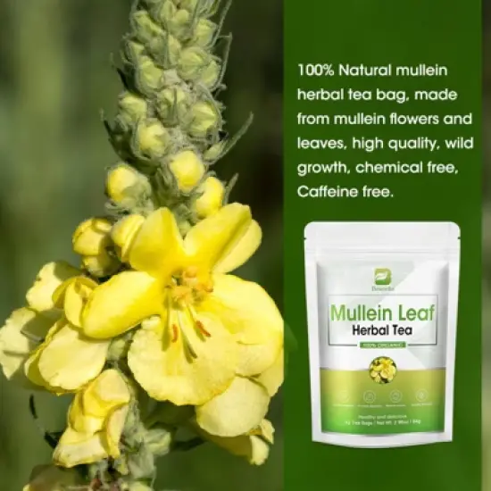 B Beworth Mullein Leaf Tea for Lungs Cleanse and Respiratory Support, Caffeine Free, 42 Tea Bags image {1}