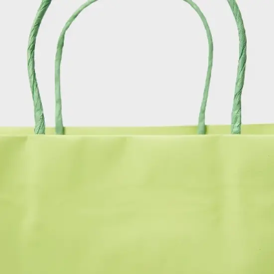 X-Large Gift Bag Green Two Color Block - Spritz&trade; image {2}