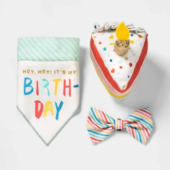 Birthday Cake Slice Plush Dog Toy - Boots & Barkley&trade; image {2}
