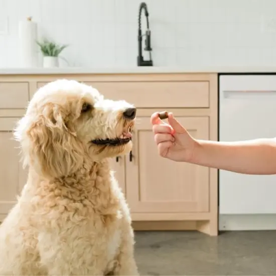 Ready Pet Go Skin & Coat Omega-3 Health Chews, Omega-3 Fish Oil for Dogs Skin & Coat and Heart & Joint Support, Fish & Cheese Flavor, 60 or 90ct image {6}