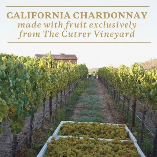 Sonoma-Cutrer Chardonnay White Wine - 750ml Bottle image {3}