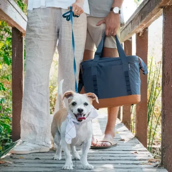 CleverMade Collapsible Tahoe 30 Cans Soft Sided Cooler - Ocean: Water-Resistant with Adjustable Straps image {16}