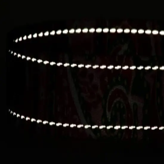 Country Brook Petz Pink Paisley Deluxe Reflective Dog Leash image {3}