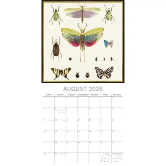 2026 Square Wall Calendar, Insects, 16-Month Arts & Antiques Theme with 180 Reminder Stickers (12x12 In) image {2}