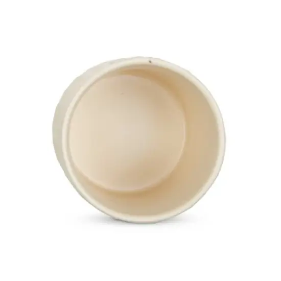 Design Imports Antique White Matte Retro Vine Texture Ceramic Canister Set/3 image {1}