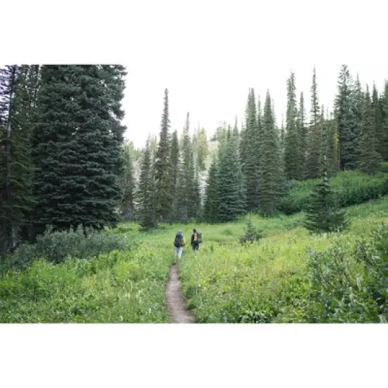 Stansport Adjustable Suspension Internal Frame Hiking and Camping Backpack 70+10L image {15}