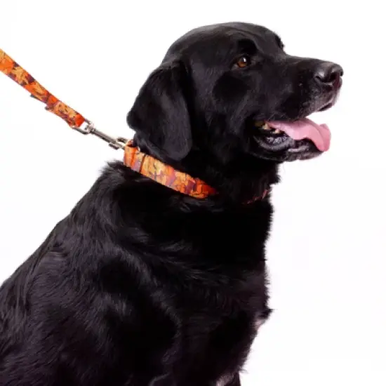 Country Brook Petz Orange Sunset Camo Martingale Dog Collar and Leash image {7}