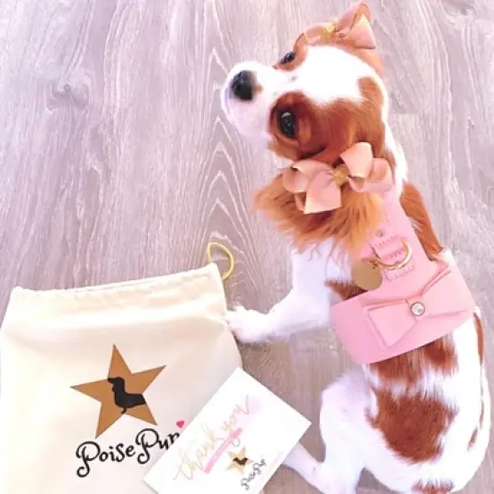 PoisePup &ndash; Luxury Pet Dog Harness &ndash; Soft Premium Italian Leather w/Crystal Harness for Small and Medium Dogs - Bella Rose image {2}