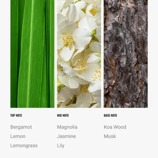 Hotel Collection 24K Magic Oil Blend - Aromatherapy Scent Diffuser Oil - Citrus, Bergamot, Lemon & Lemongrass image {3}