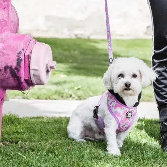 Fresh Pawz Pastel Camo Mesh Dog Harness  image {3}