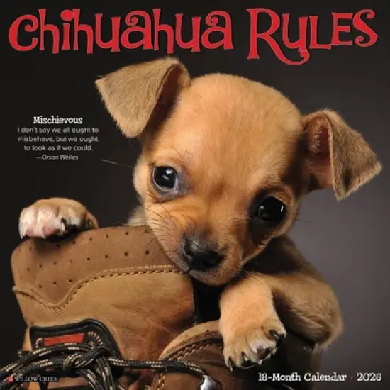 Willow Creek Press 2026 Chihuahua Rules Wall Calendar image {5}