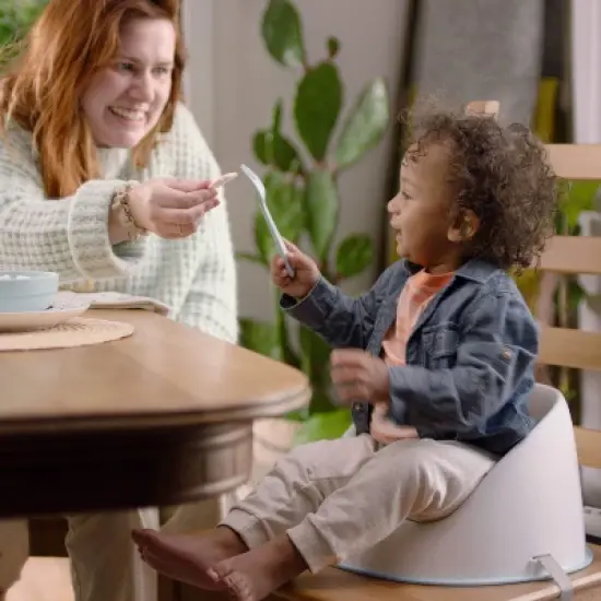 Ingenuity Simplicity Toddler Booster Seat - Gray image {6}