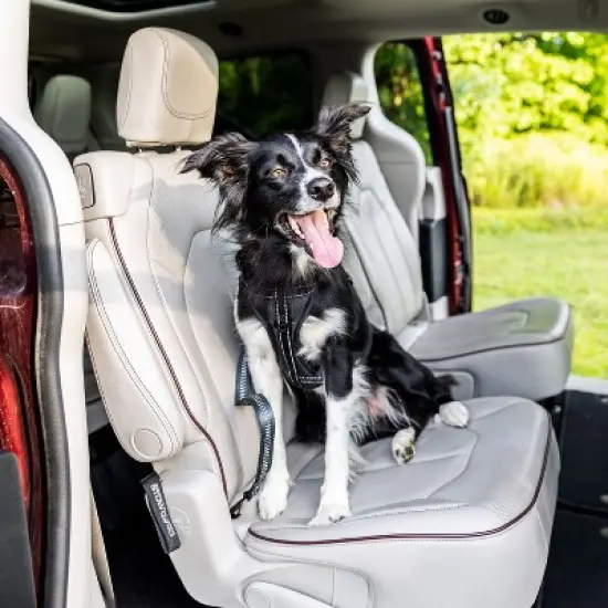Mighty Paw Chew-Proof Dog Seat Belt | Latch Bar Clip + Carabiner, 850+ lbs image {2}