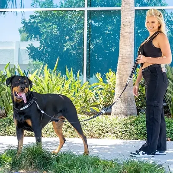 Shed Defender Mag-Snap Dog Leash - Wearable Magnetic Leash - 5 ft. image {4}