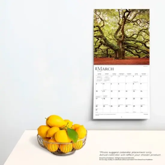 Browntrout 2024 Wall Calendar 12"x12" Blessings image {3}