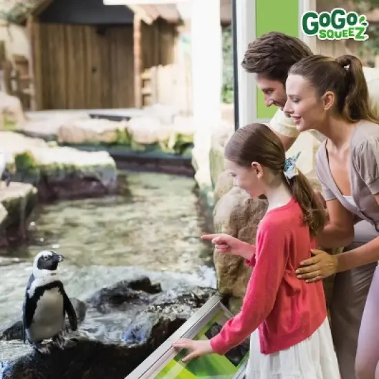 GoGo SqueeZ Applesauce and Fruit Puree Discovery Variety Pack Arctic Apple and Glacier Grape Orange Pouches - 64oz/20ct image {7}