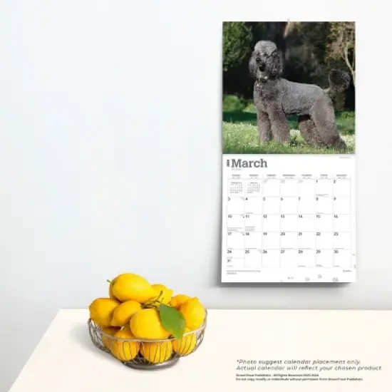 Browntrout 2024 Wall Calendar 12"x12" Poodles image {3}