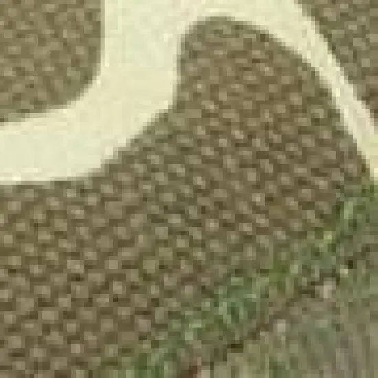 BSD Safari Seat - Green Pivotal Synthetic Unisex BMX Saddle image {1}