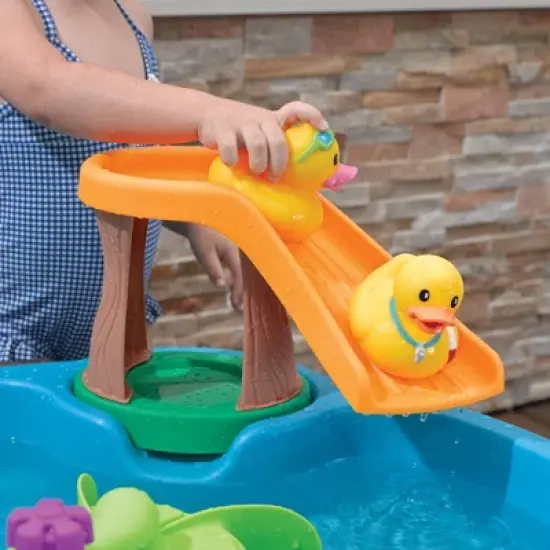 Step2 Duck Pond Water Table image {3}