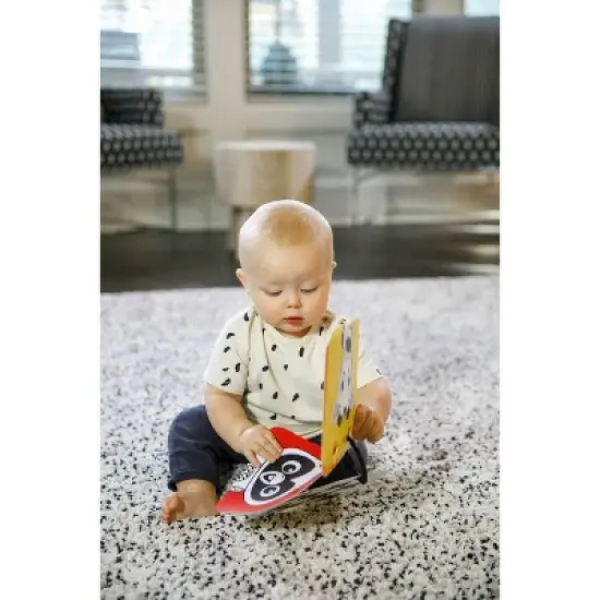 Baby Einstein Black White and Bright Floor Mirror image {7}