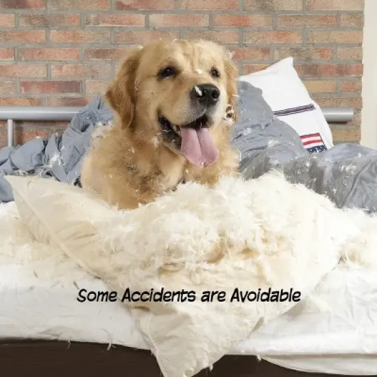 Indoor Pet Gate - 4-Panel Folding Dog Gate for Stairs or Doorways - 73x24-Inch Freestanding Pet Fence for Cats and Dogs by PETMAKER (White) image {3}