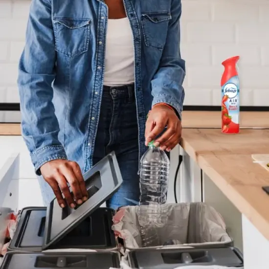 Febreze Air Effects Odor-Fighting Air Freshener - Berry & Bramble - 8.8oz image {1}