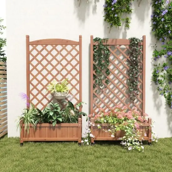 Whisen 2-Pack Raised Garden Bed with Trellis & Climbing Racks image {11}