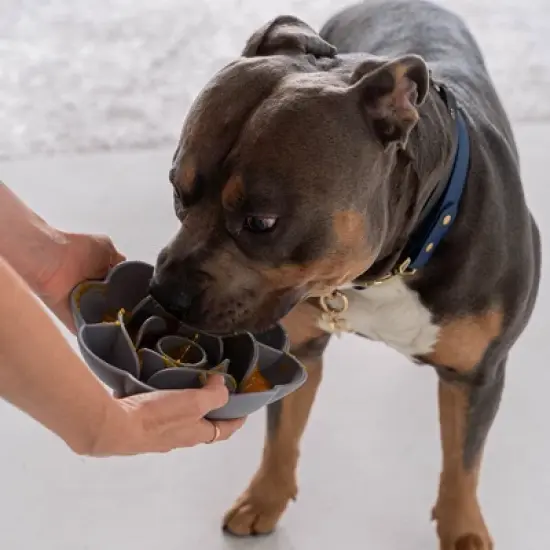 Dexypaws: Flower Slow Feeder - Grey - Dog & Pet Mealtime Accessory For 8" bowls image {2}