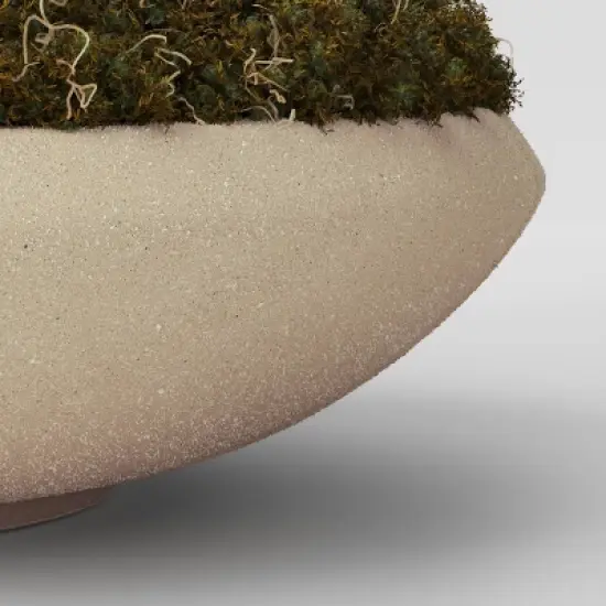 Faux Moss Bowl - Threshold&trade; image {3}