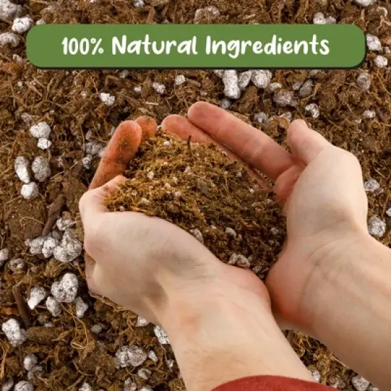 Soil Sunrise Carnivorous Plant Potting Soil Mix for Venus Fly Trap, Pitcher Plants image {3}