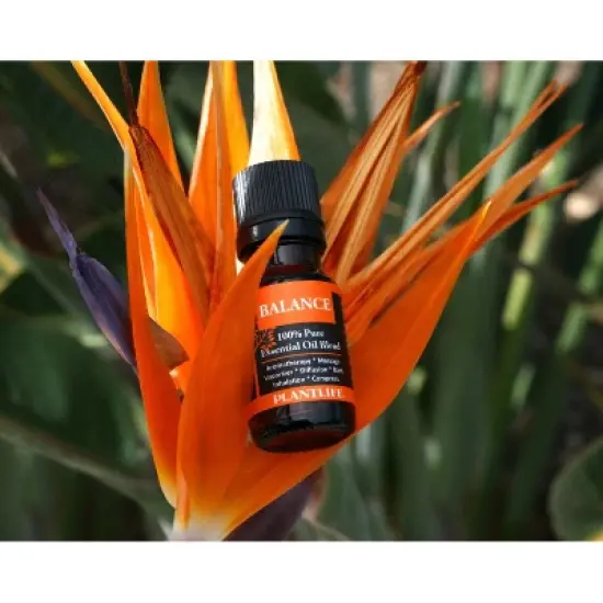 Plantlife Balance Aromatherapy Essential Oil Blend &ndash; 100% Pure, Therapeutic Grade, No Additives or Fillers, Made in California, 10 ml image {3}