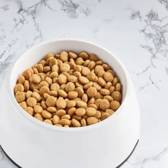 Nutro So Simple Chicken Dry Dog Food image {3}