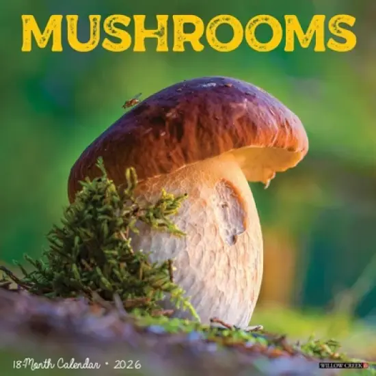 Willow Creek Press 2026 Mushrooms Wall Calendar image {5}