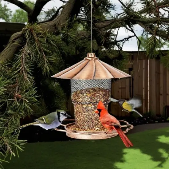 phiestina Bird Feeder with Lid, Heavy-Duty Metal, Petals-Shaped Roof, 360&deg; Feeding Ports, Bronze image {4}