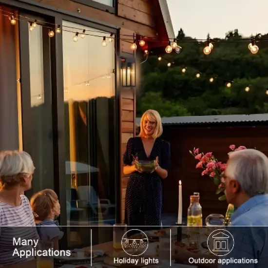 C Cattleya Black Outdoor Wall Lantern Sconce with GFCI Outlet image {2}