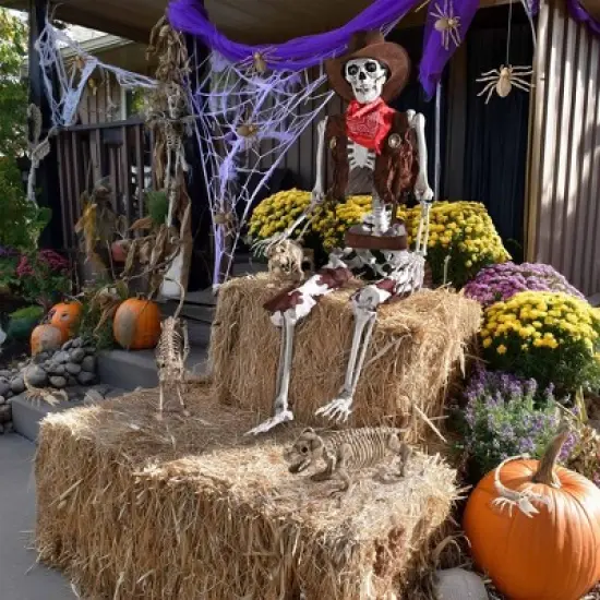 Yescom 2 Pcs Spider and 2 Pcs Scorpion Skeletons Halloween Decor Waterproof Plastic Yard Props 2025 image {5}