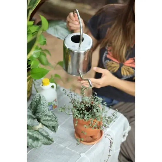 Good Dirt Naturals Indoor/Outdoor Plant Food - 15 fl oz image {3}