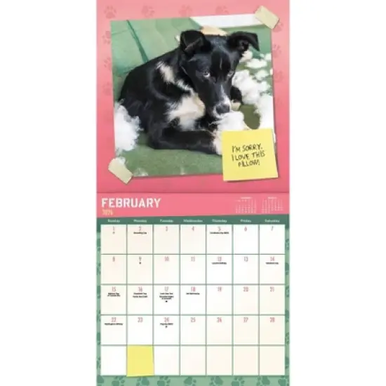 Trends International 2026 Guilty Dog 12"x12" Wall Calendar image {2}