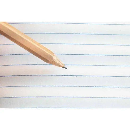 Decomposition Book 7.5"x9.75" 160 Pages College Ruled Spiral Notebook Honey Badgers image {1}