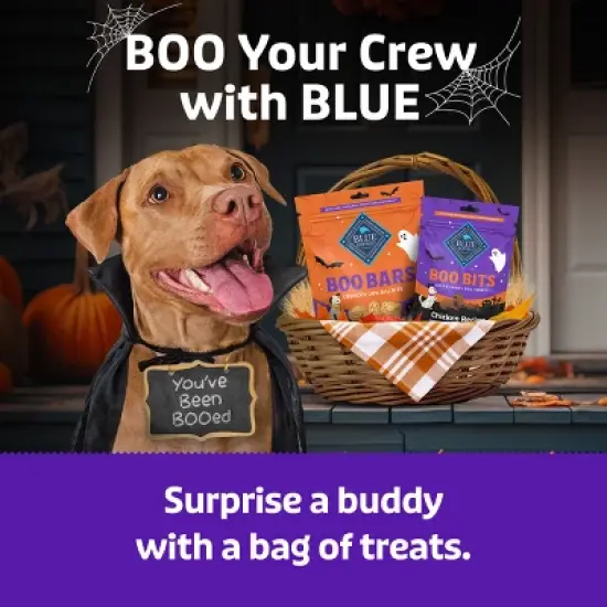 Blue Buffalo Boo Bars Crunchy Biscuits, Pumpkin & Cinnamon Halloween Dog Treats - 11oz image {7}